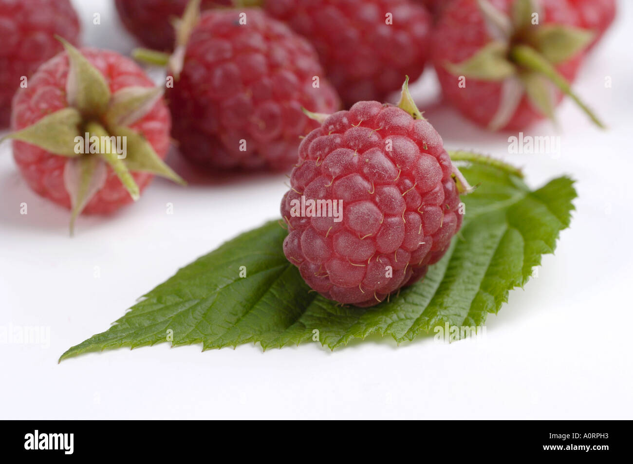 Raspberry studio hi-res stock photography and images - Alamy