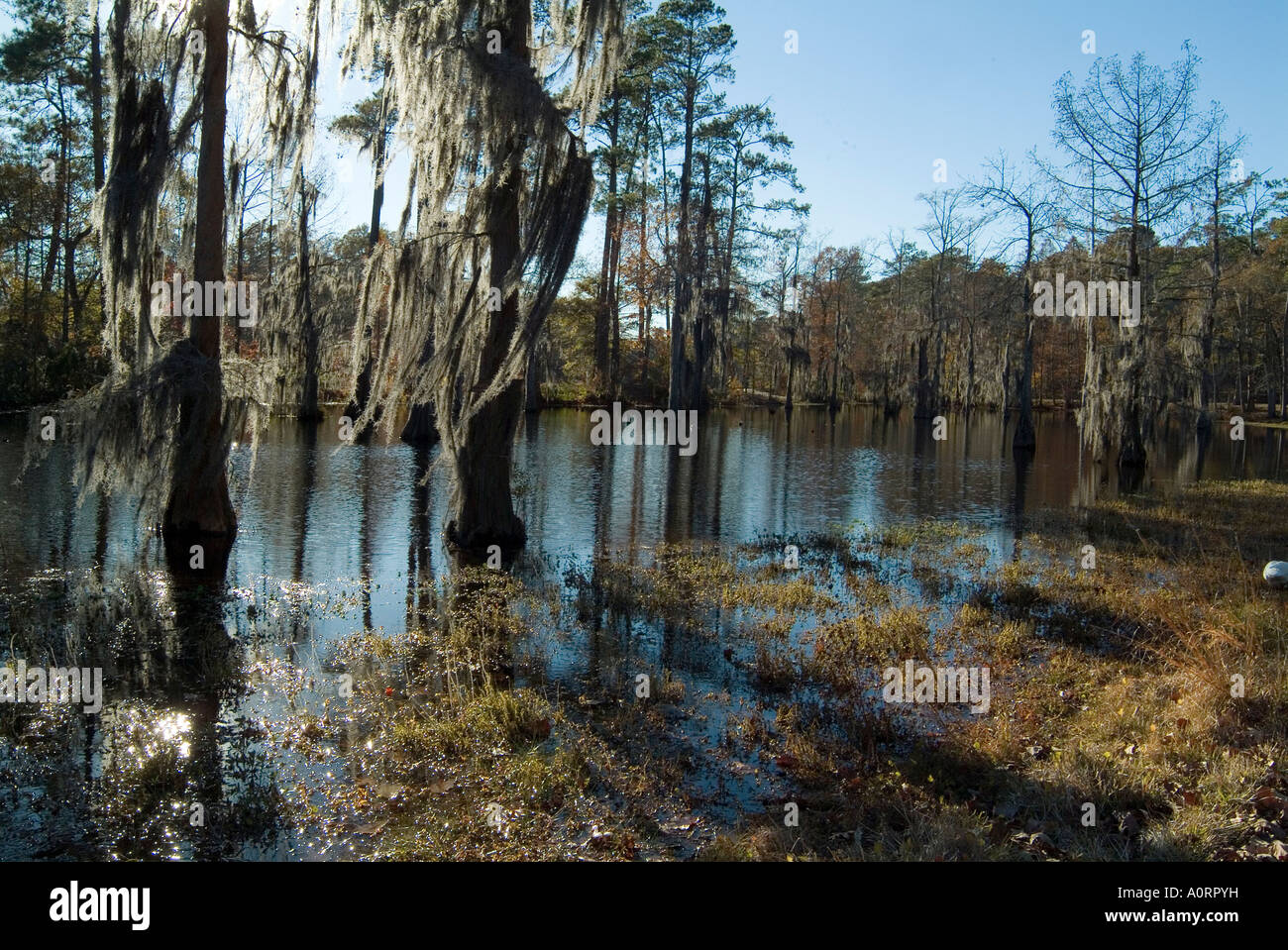 Sam Houston Stock Photos Sam Houston Stock Images Alamy