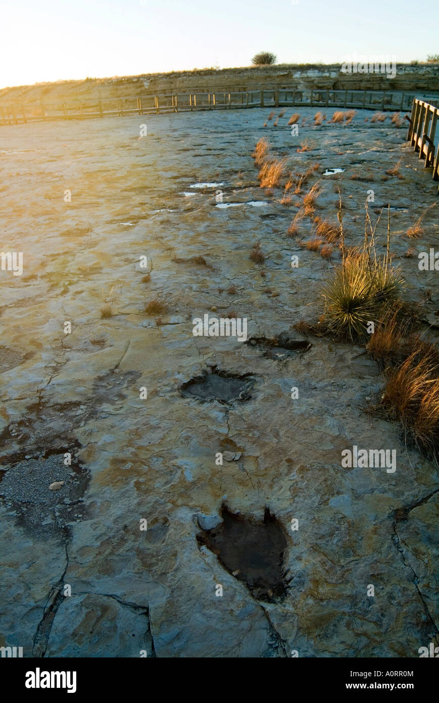 Dinosaur Tracks Clayton Lake State Park New Mexico United States of