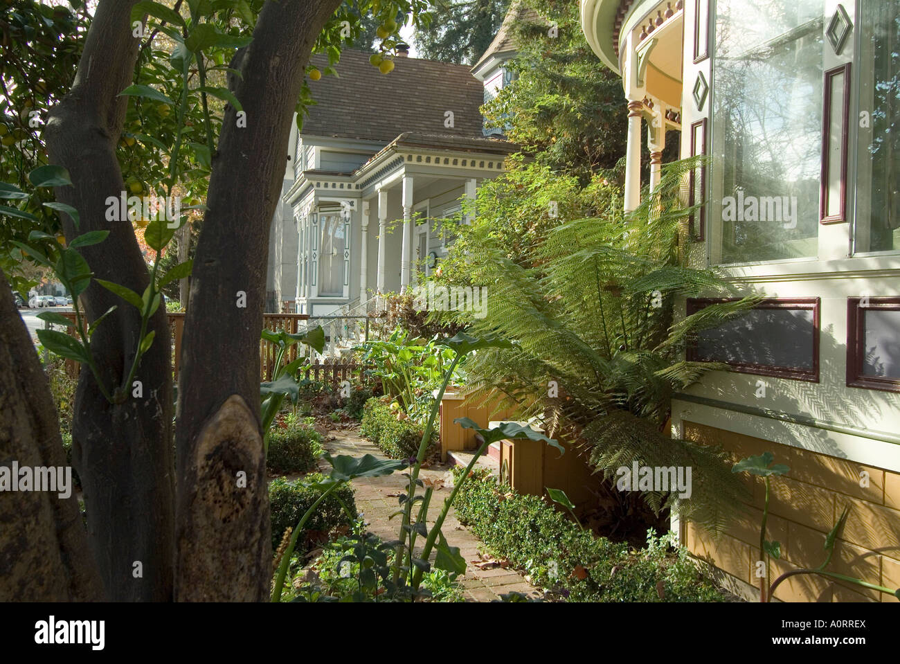 Victorian houses Downtown Santa Cruz California United States of