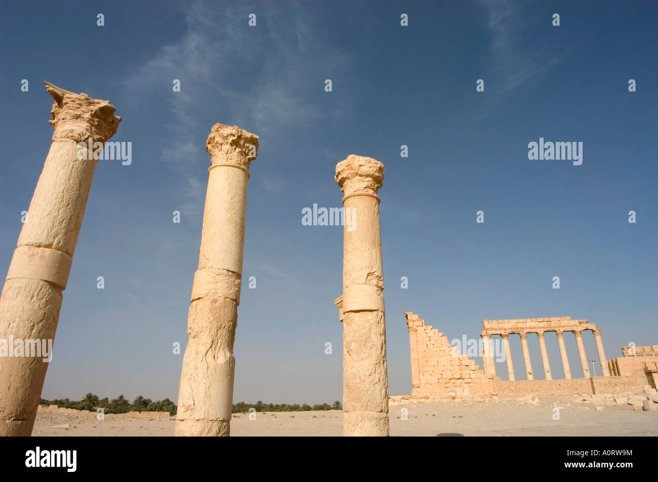 Colonnades archaelogical ruins Palmyra UNESCO World Heritage Site Syria Middle East Stock Photo