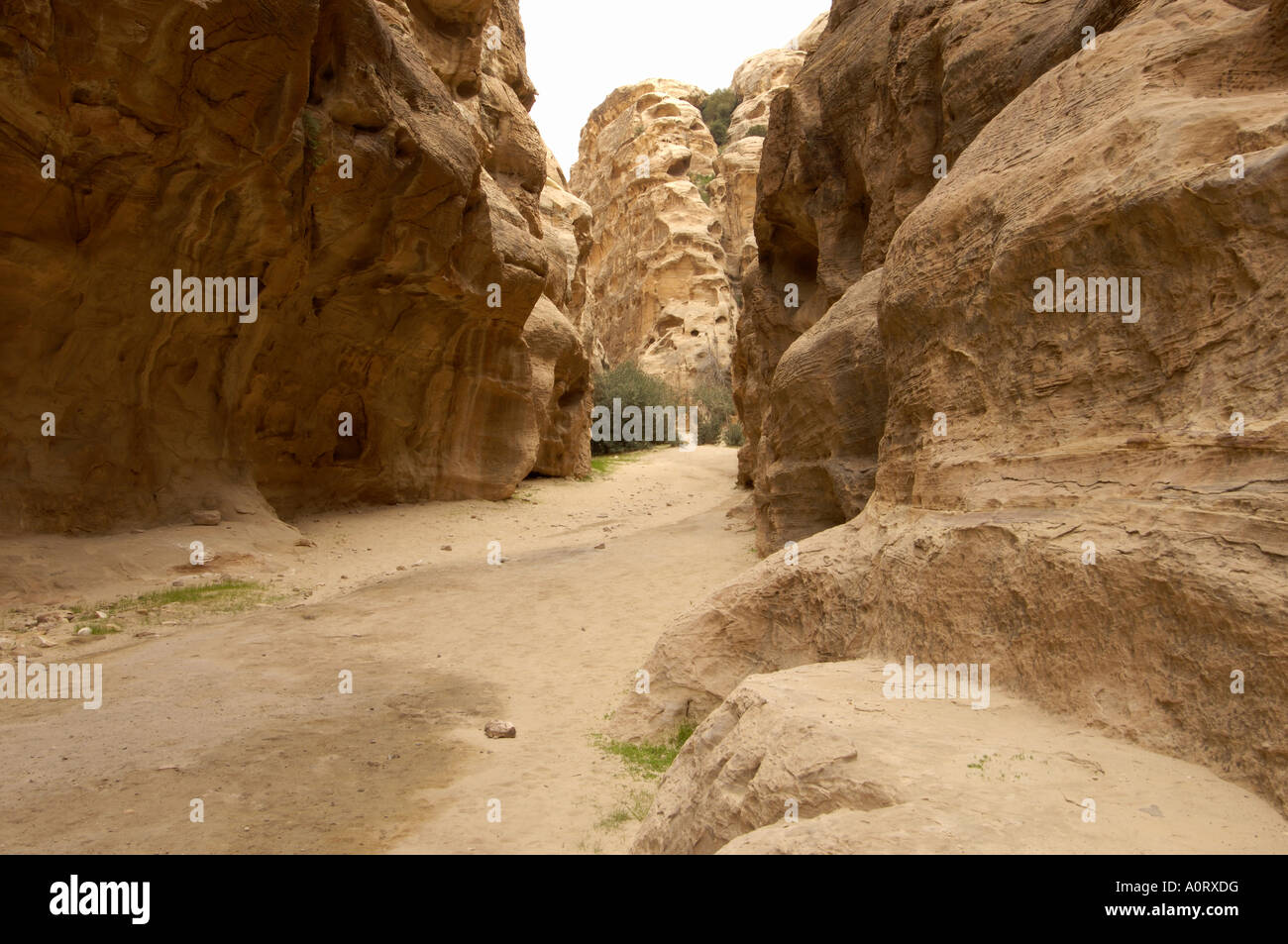 Beida also known as Little Petra Jordan Middle East Stock Photo
