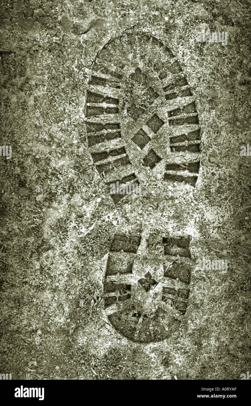 A shoe or boot footprint on the ground and documented like a piece of