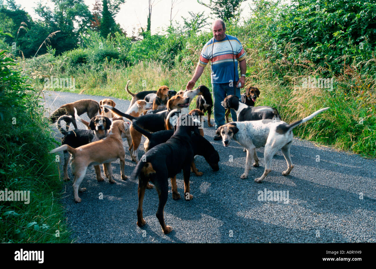 Man with hunting dogs hi-res stock photography and images - Alamy, image size:1300x931
