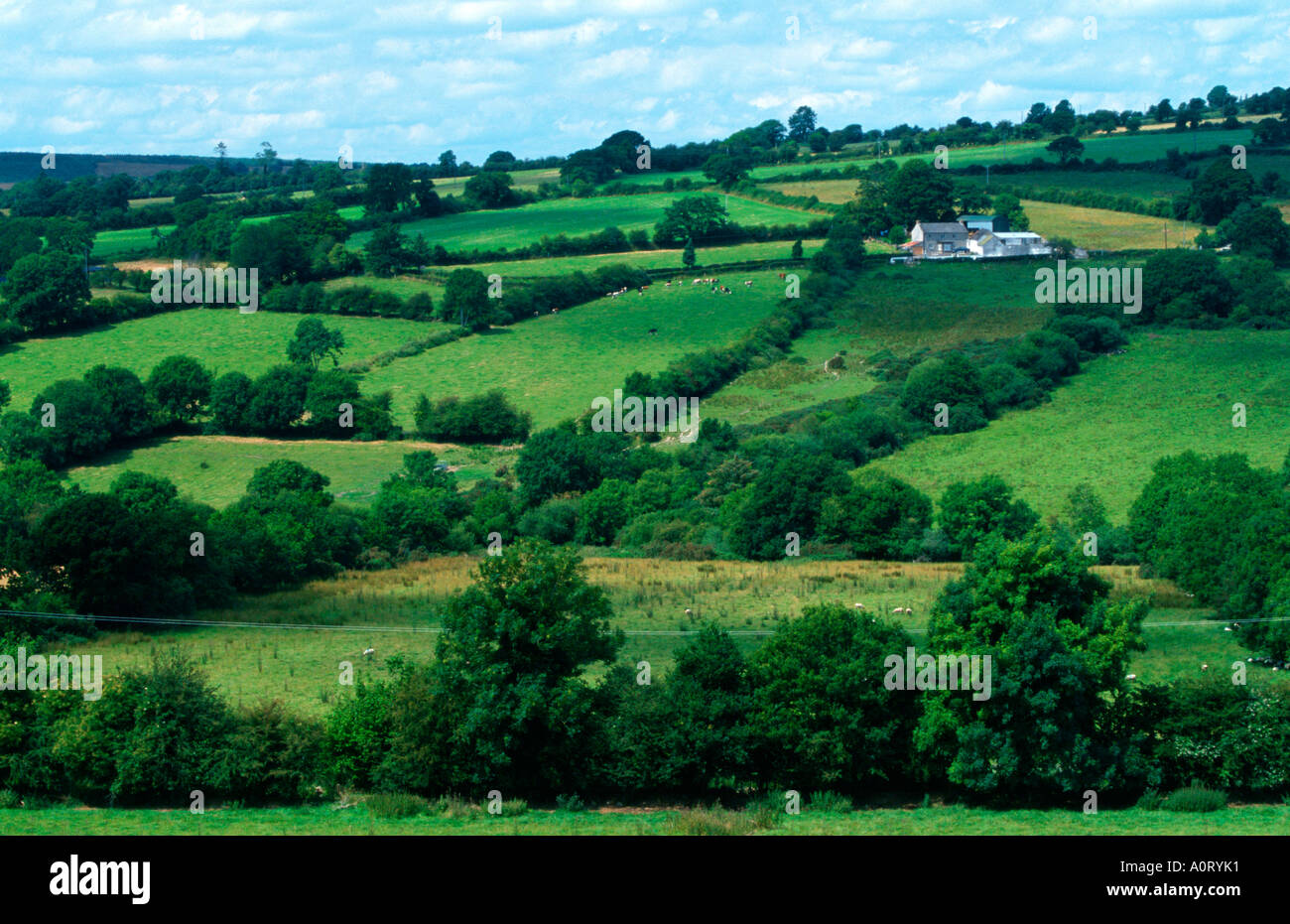 Meadows Stock Photo