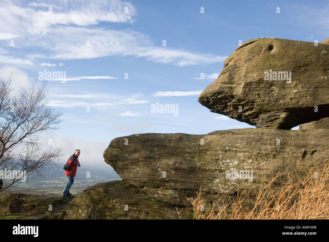 Brimham Rocks North Yorkshire UK England Stock Photo