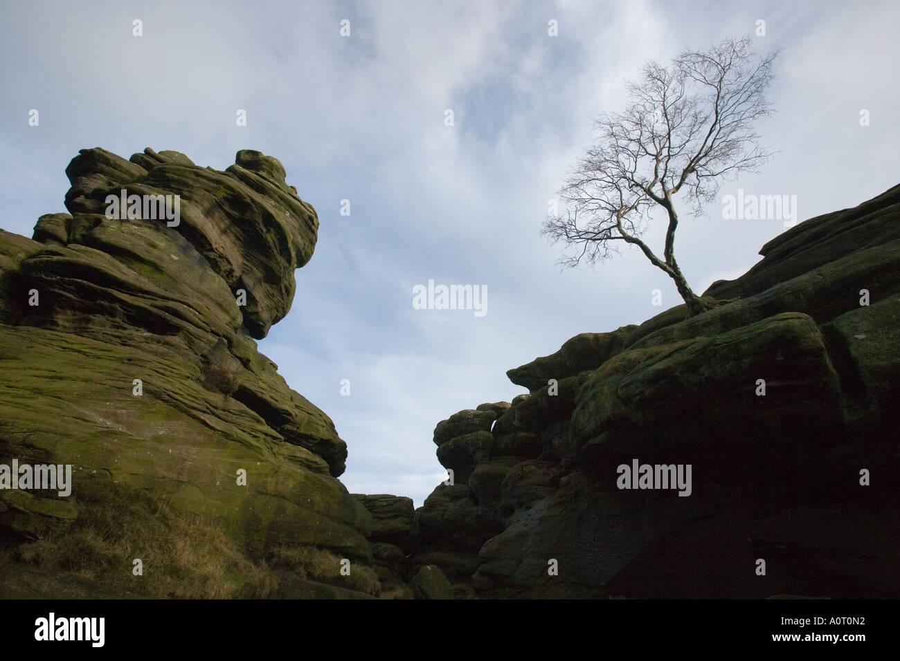 Brimham Rocks North Yorkshire UK England Stock Photo