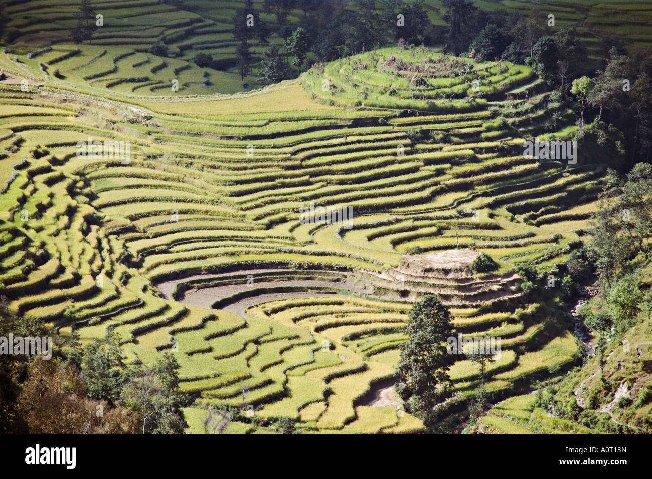 Himalayas south asia aerial hi-res stock photography and images - Alamy