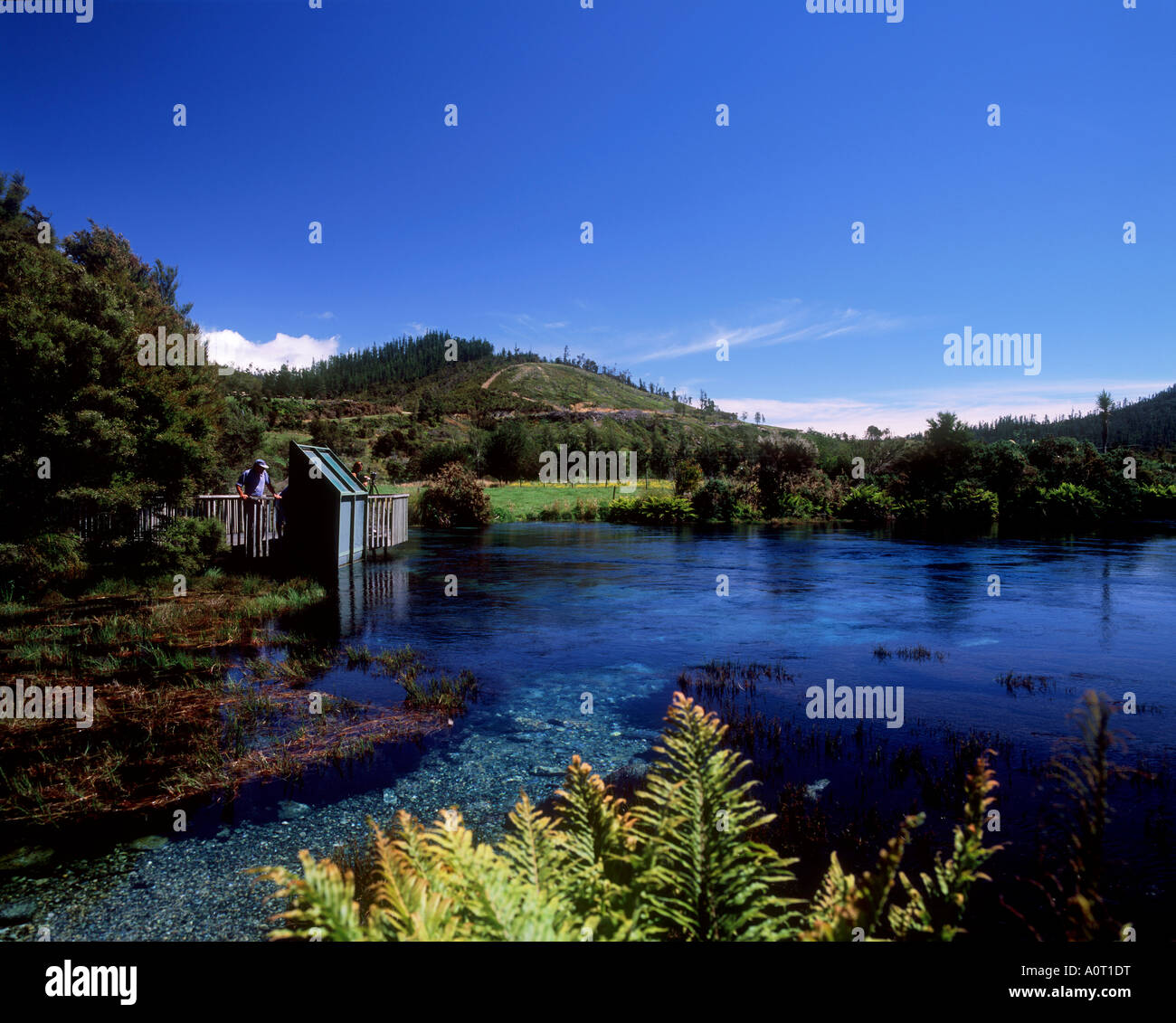 New zealand pupu springs hires stock photography and images Alamy