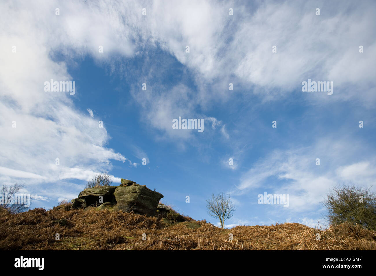 Brimham Rocks North Yorkshire UK England Stock Photo