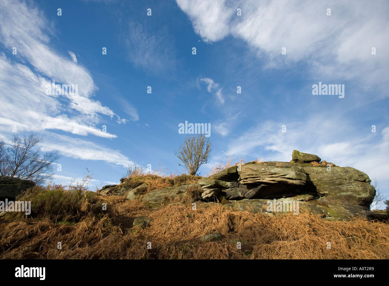 Brimham Rocks North Yorkshire UK England Stock Photo