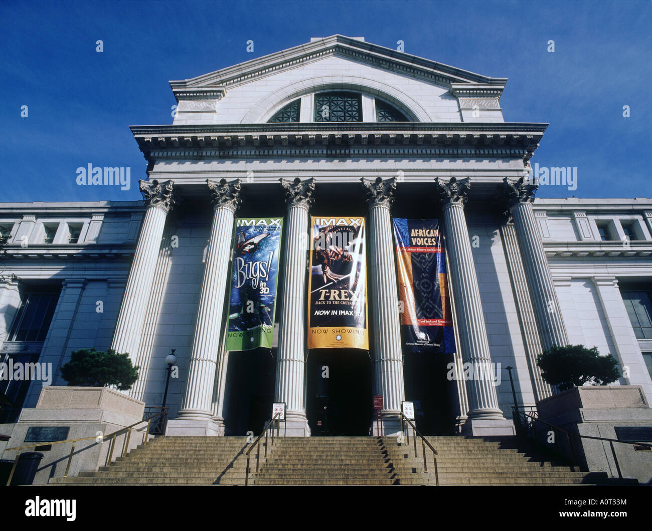 WHAT CAN YOU SEE IN NATIONAL MUSEUM OF NATURAL HISTORY visual data 7