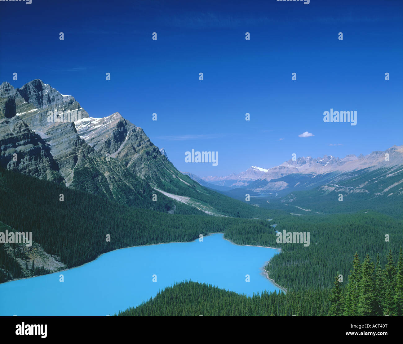 Peyto Lake Banff National Park World Heritage Stock Photo - Alamy
