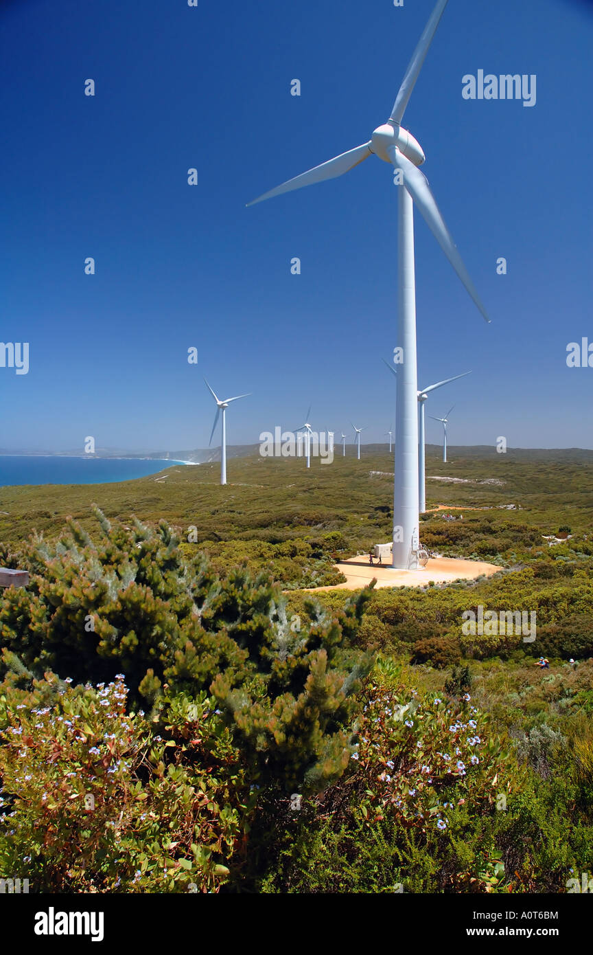 Wind farm supplies the coastal city of Albany with 75 percent of its daily power needs, Western Australia Stock Photo