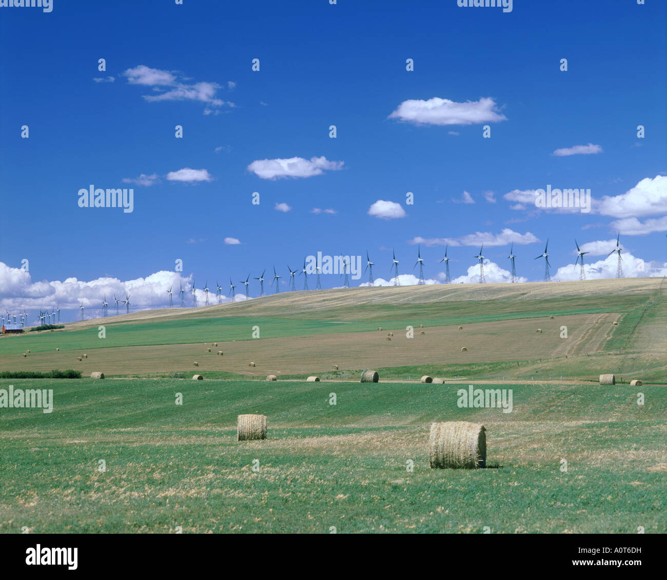 Suburbs of Pincher Creek Stock Photo Alamy