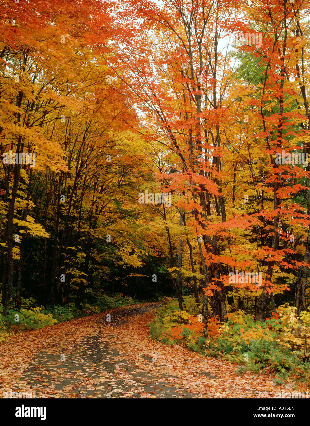 Sault Ste marie Stock Photo - Alamy