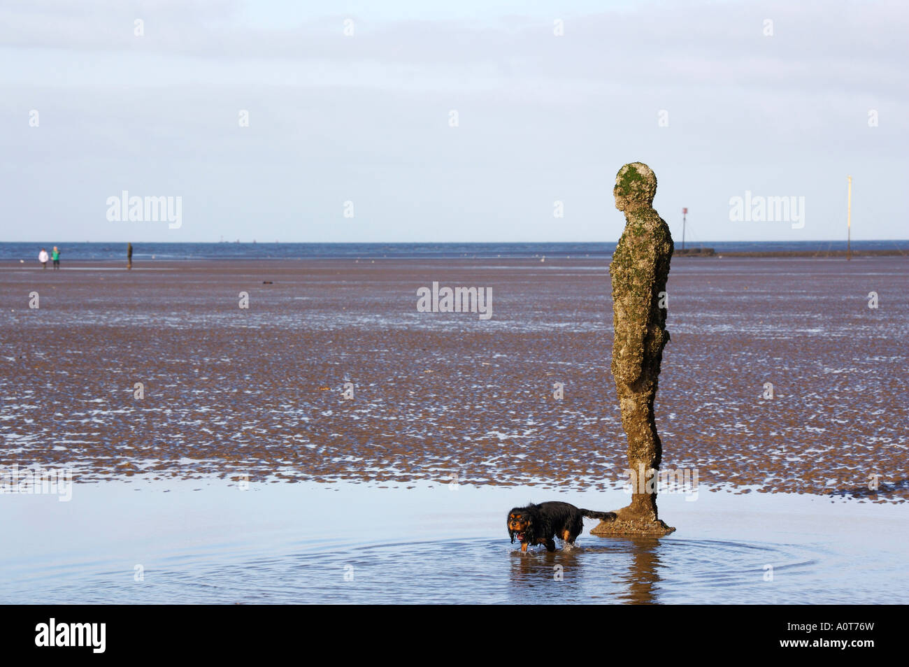 Anthony Gormley's bronze sculptures Crosby beach near Liverpool England