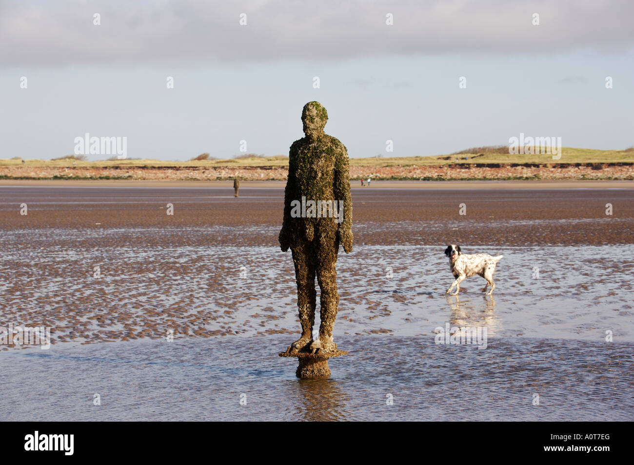 Anthony Gormley's bronze sculptures Crosby beach near Liverpool England