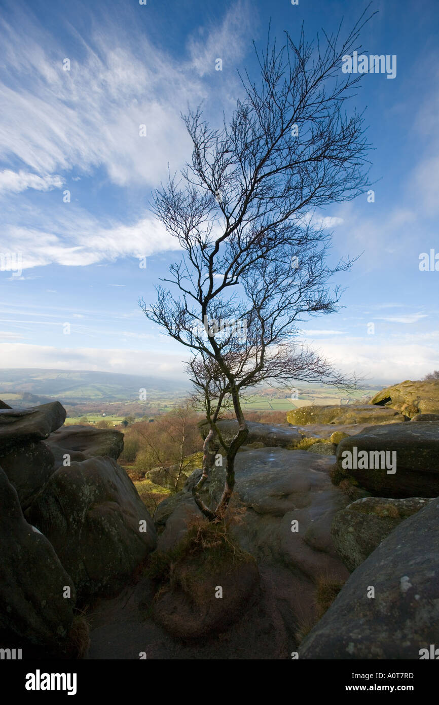 Brimham Rocks North Yorkshire UK England Stock Photo