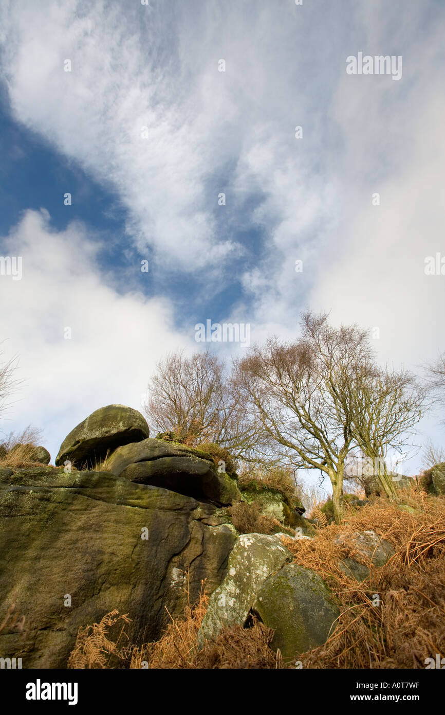 Brimham Rocks North Yorkshire UK England Stock Photo