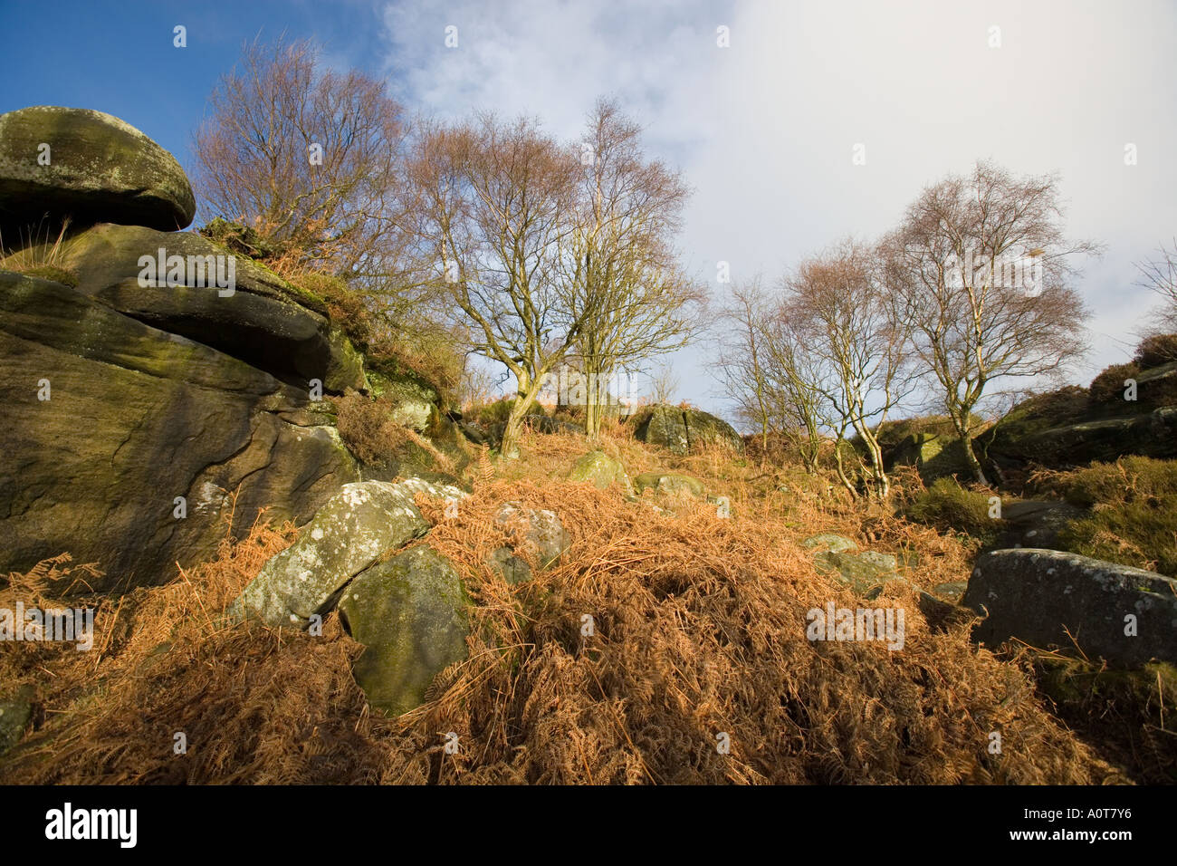 Brimham Rocks North Yorkshire UK England Stock Photo