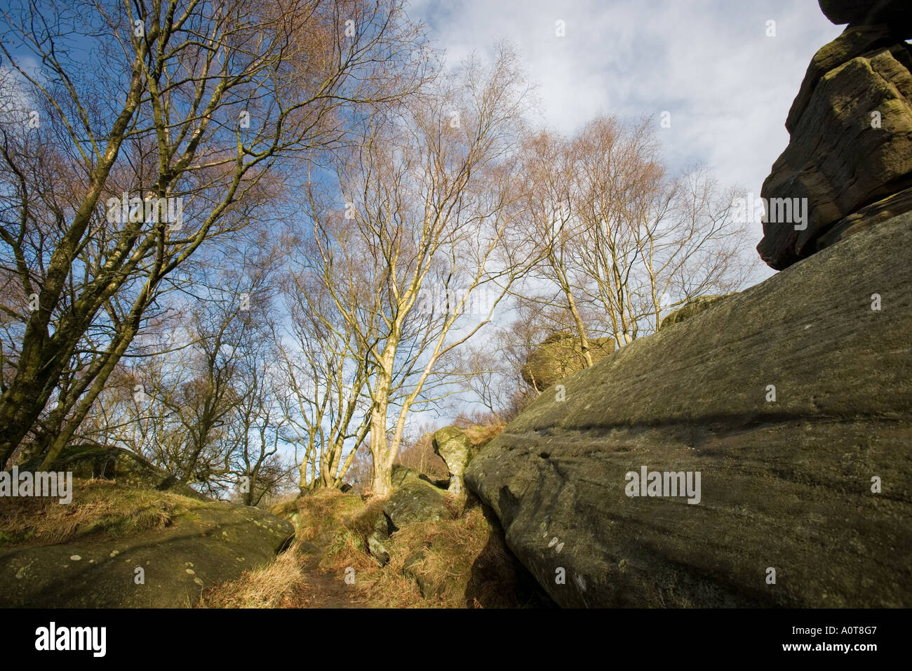 Brimham Rocks North Yorkshire UK England Stock Photo