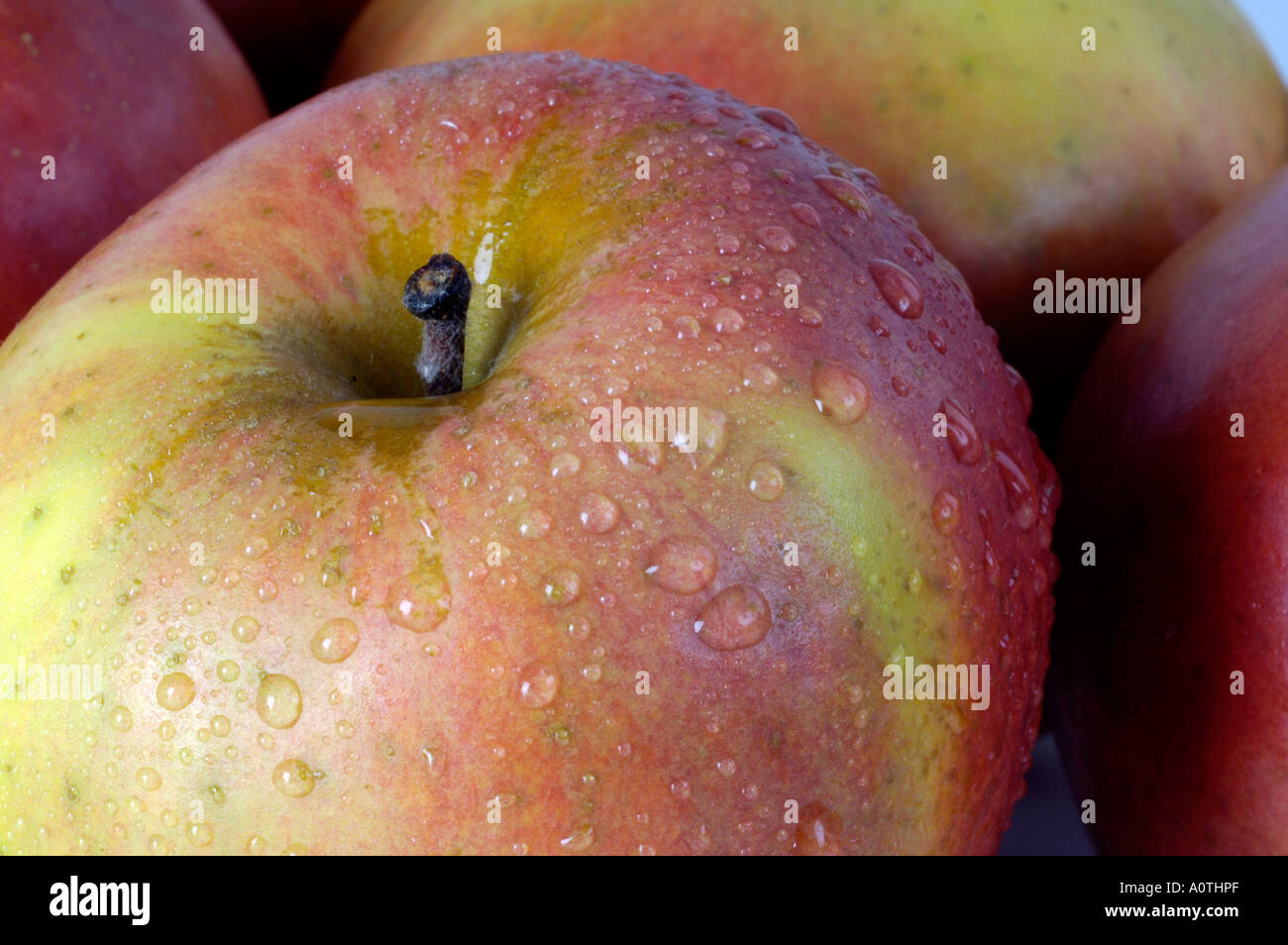Apple / Berlepsch Stock Photo