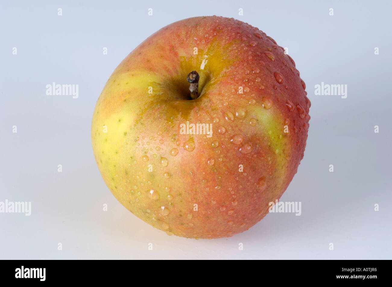 Apple / Berlepsch Stock Photo