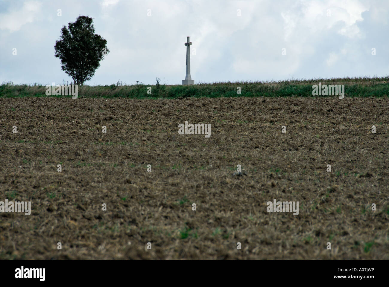 'Memorial cross in a field, 'Authuille Wood', Thiepval, northern France' Stock Photo