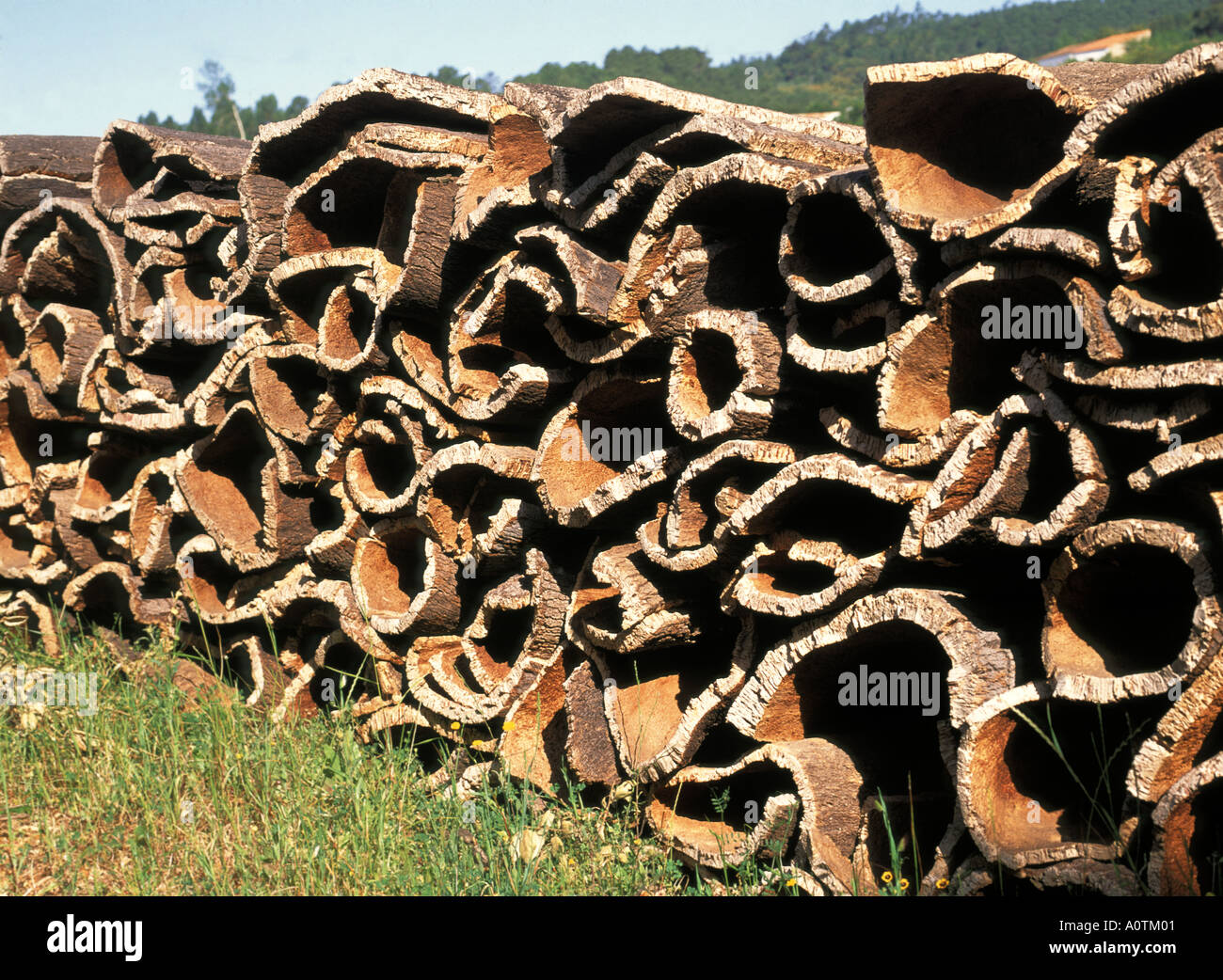 Cork bark as a raw material after removal from Cork Oak trees stacked