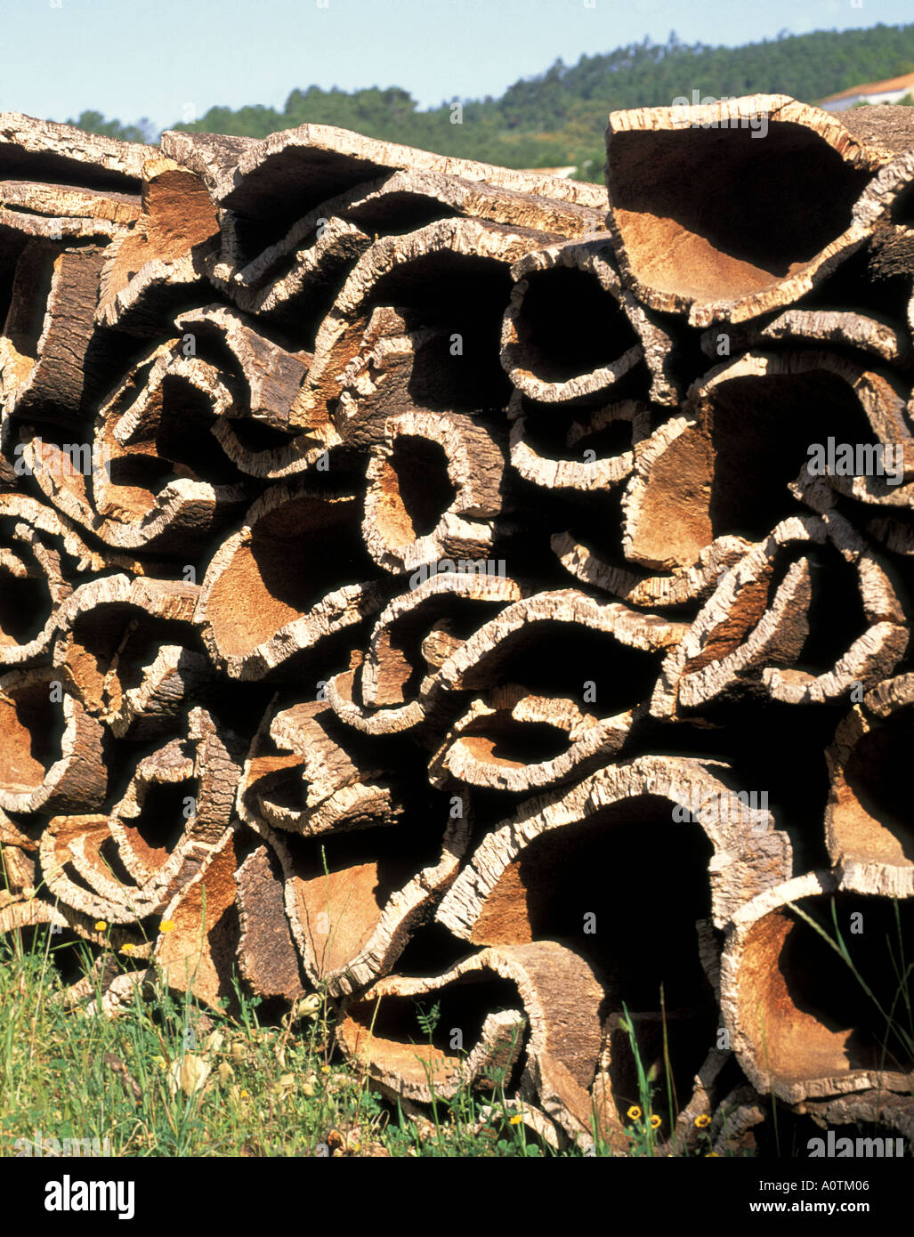 Cork bark as a raw material after removal from Cork Oak trees stacked