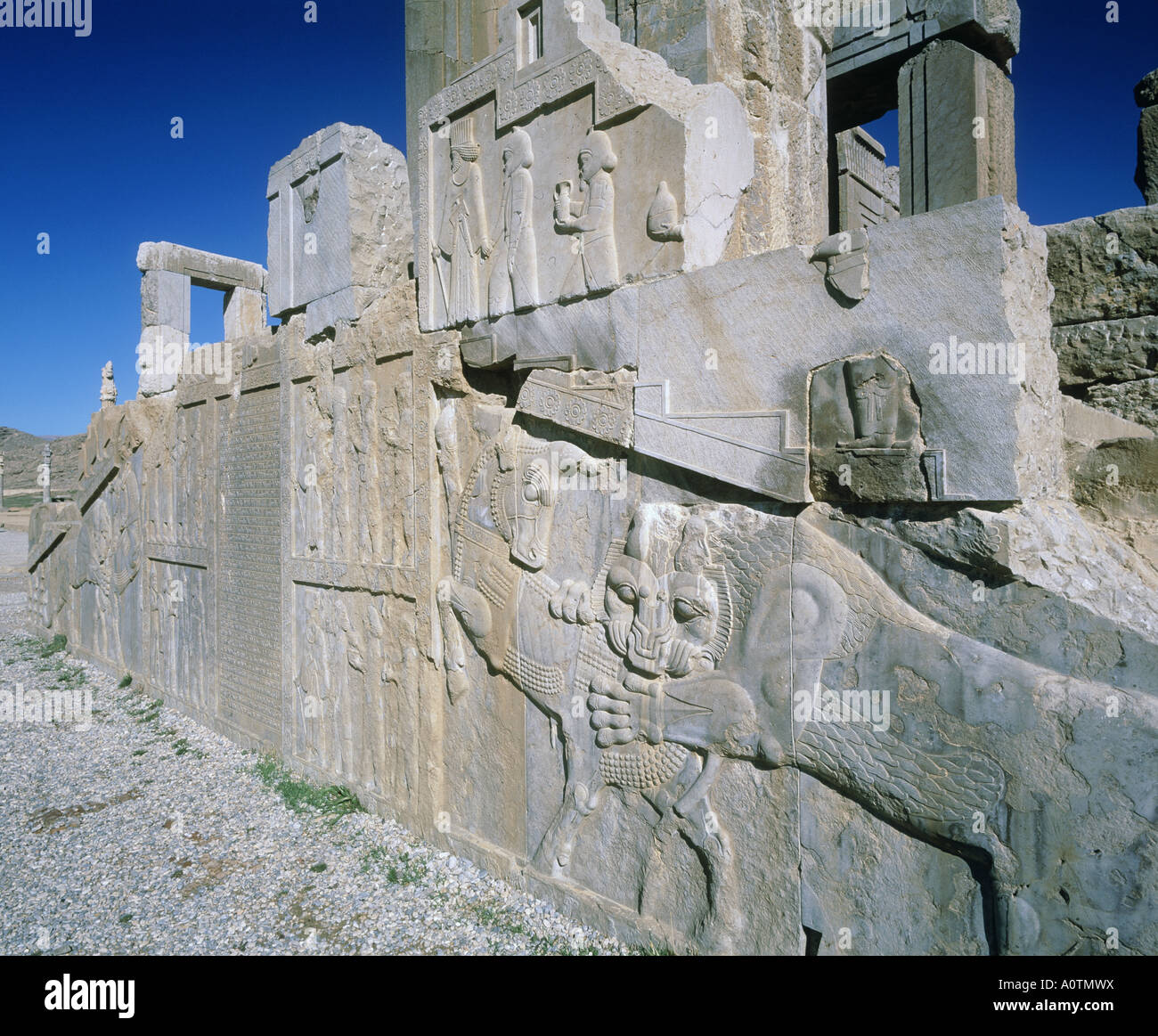 Darius Wall's Instagram, Twitter & Facebook on IDCrawl