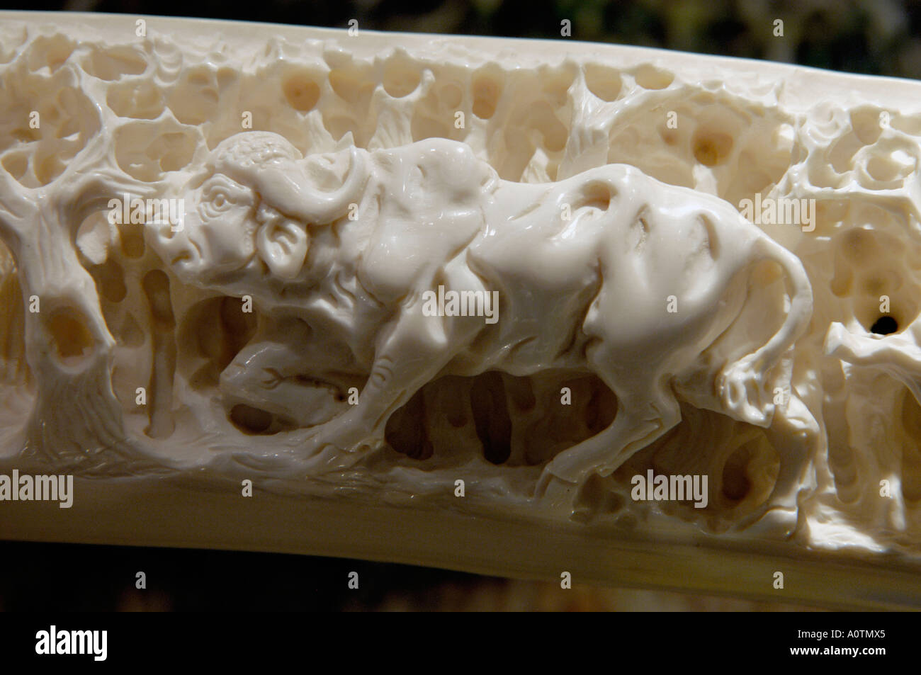 Ivory carving hires stock photography and images Alamy