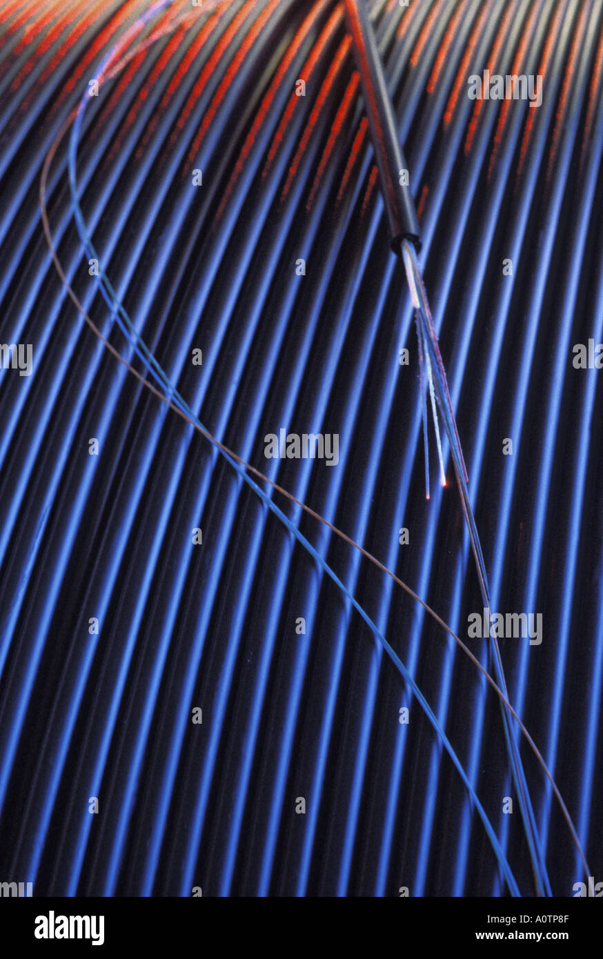 Still life of fiber optic telephone cables on spool Stock Photo Alamy