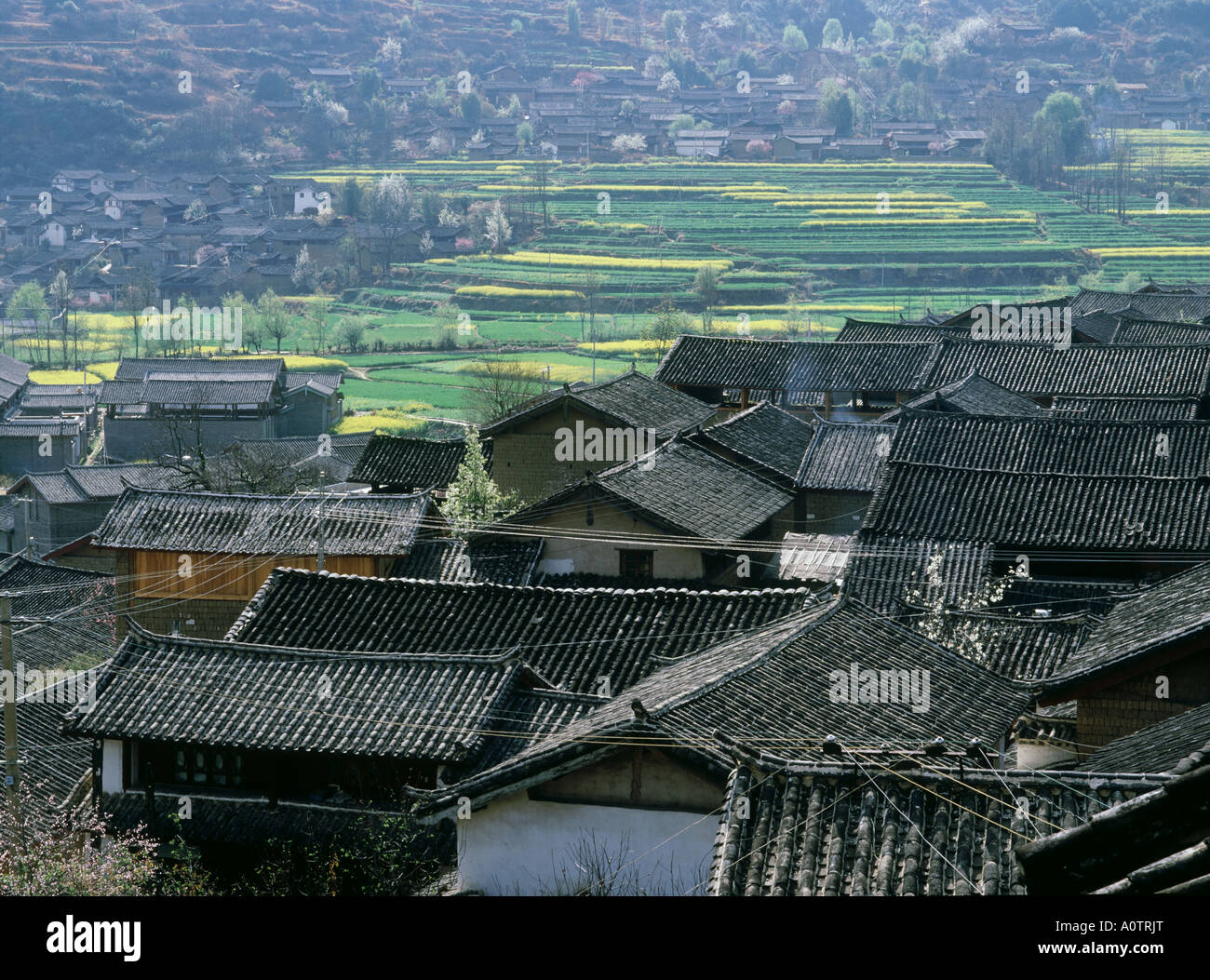Old town lijiang hi-res stock photography and images - Alamy
