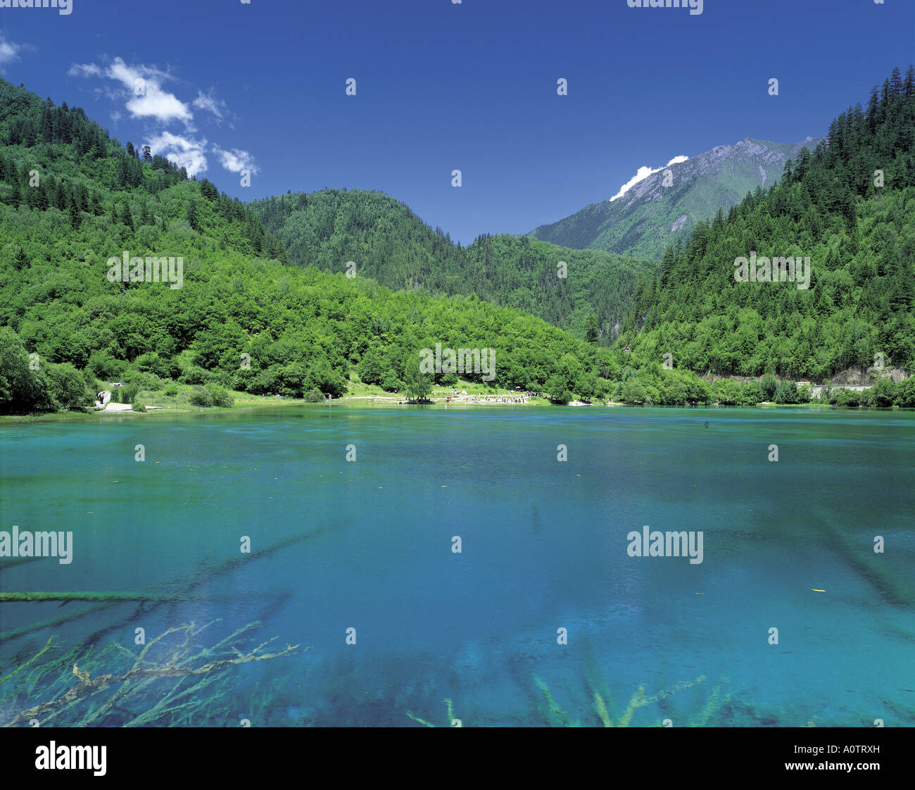 WuHua Hai Five Flower Lake JiuZhaiGou World Heritage Stock Photo - Alamy