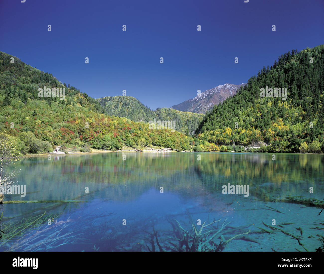 WuHua Hai Five Flower Lake JiuZhaiGou World Heritage Stock Photo - Alamy