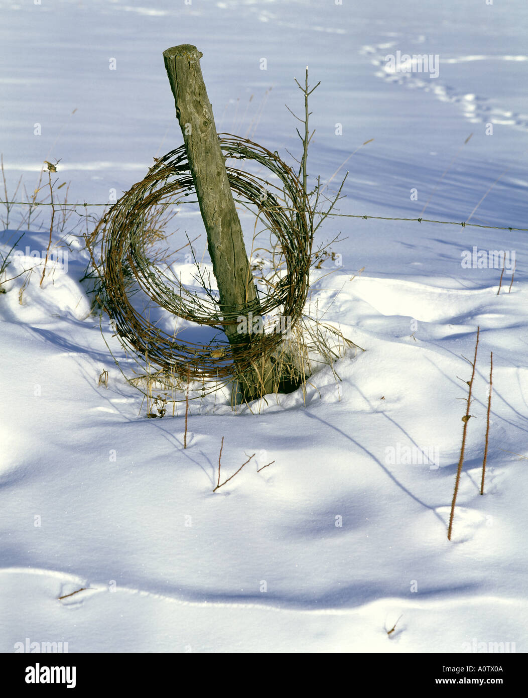 Fence covered in deep snow with coiled barbed wire on post Grande