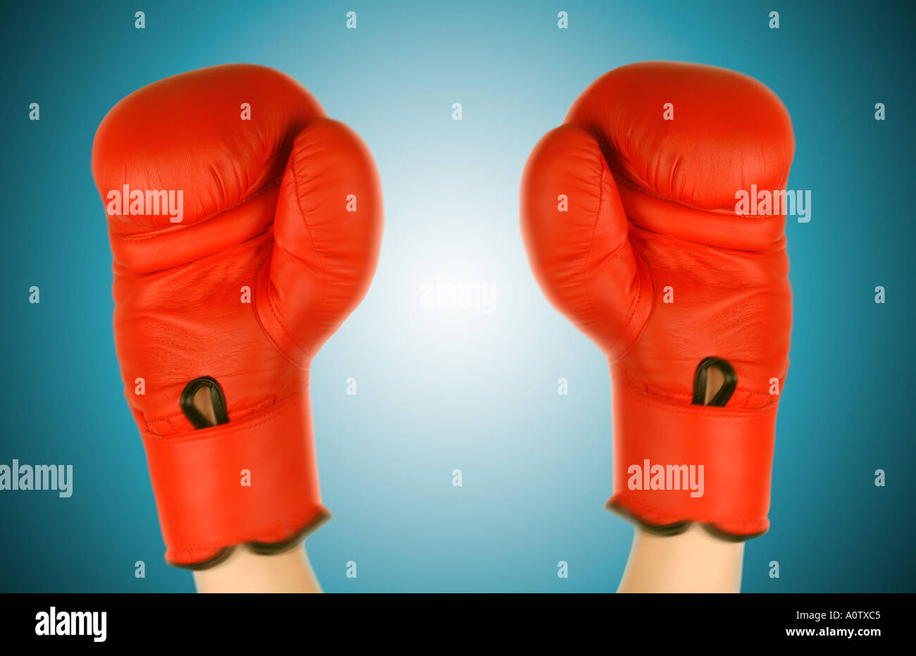 Winner loser boxing hi-res stock photography and images - Alamy