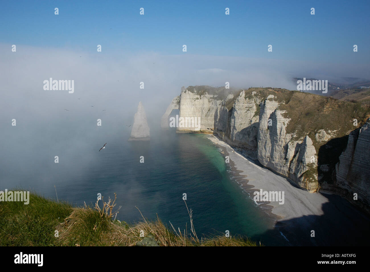 Etretat Normandy France Down cliff Stock Photo - Alamy