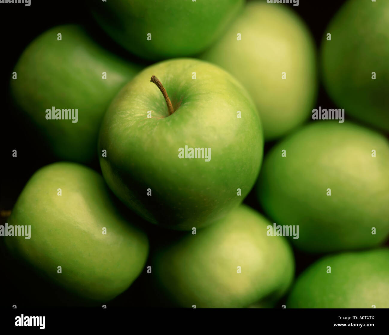 GREEN APPLES Stock Photo