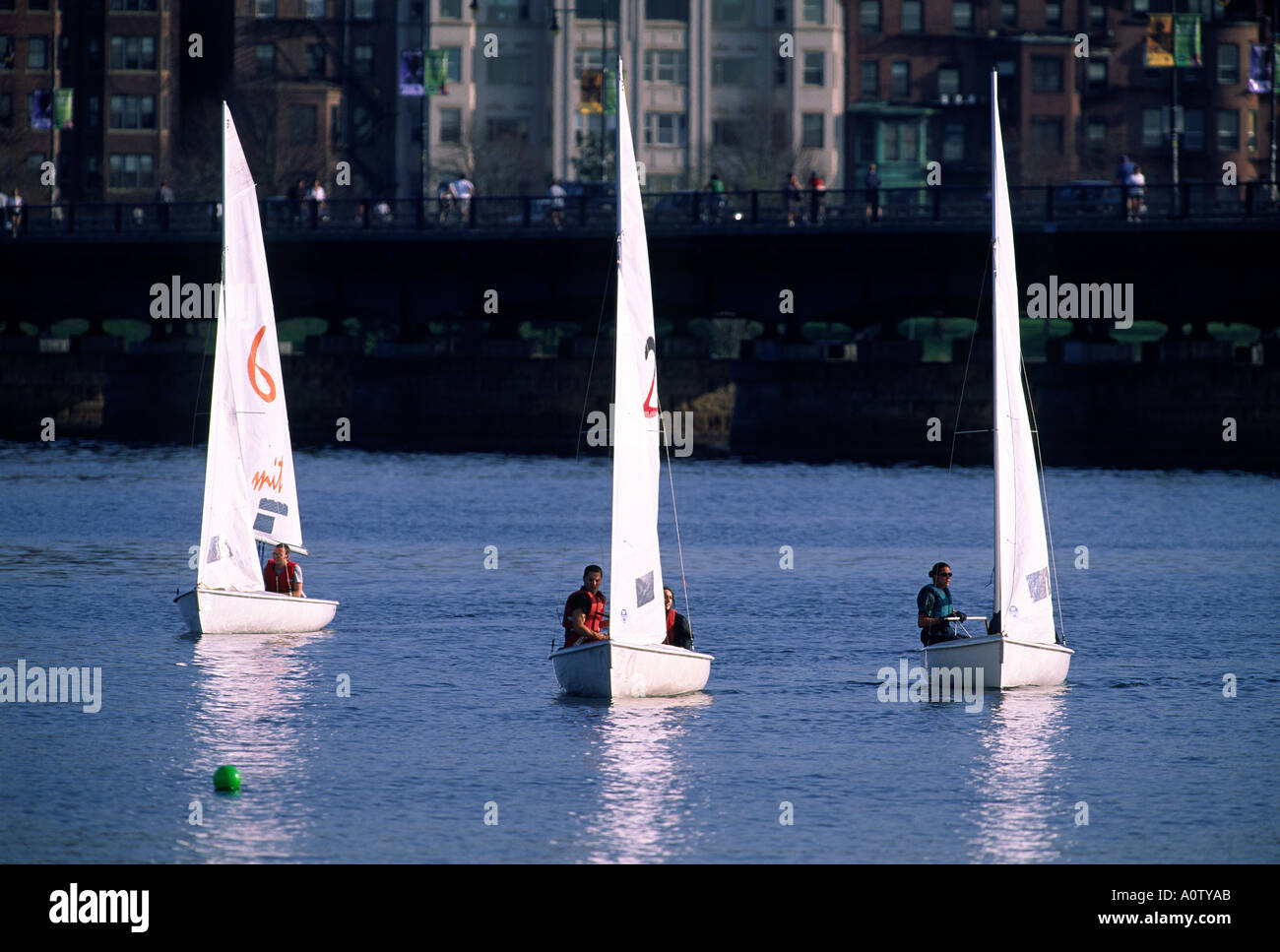 Sail boats on the Charles river in Boston Stock Photo