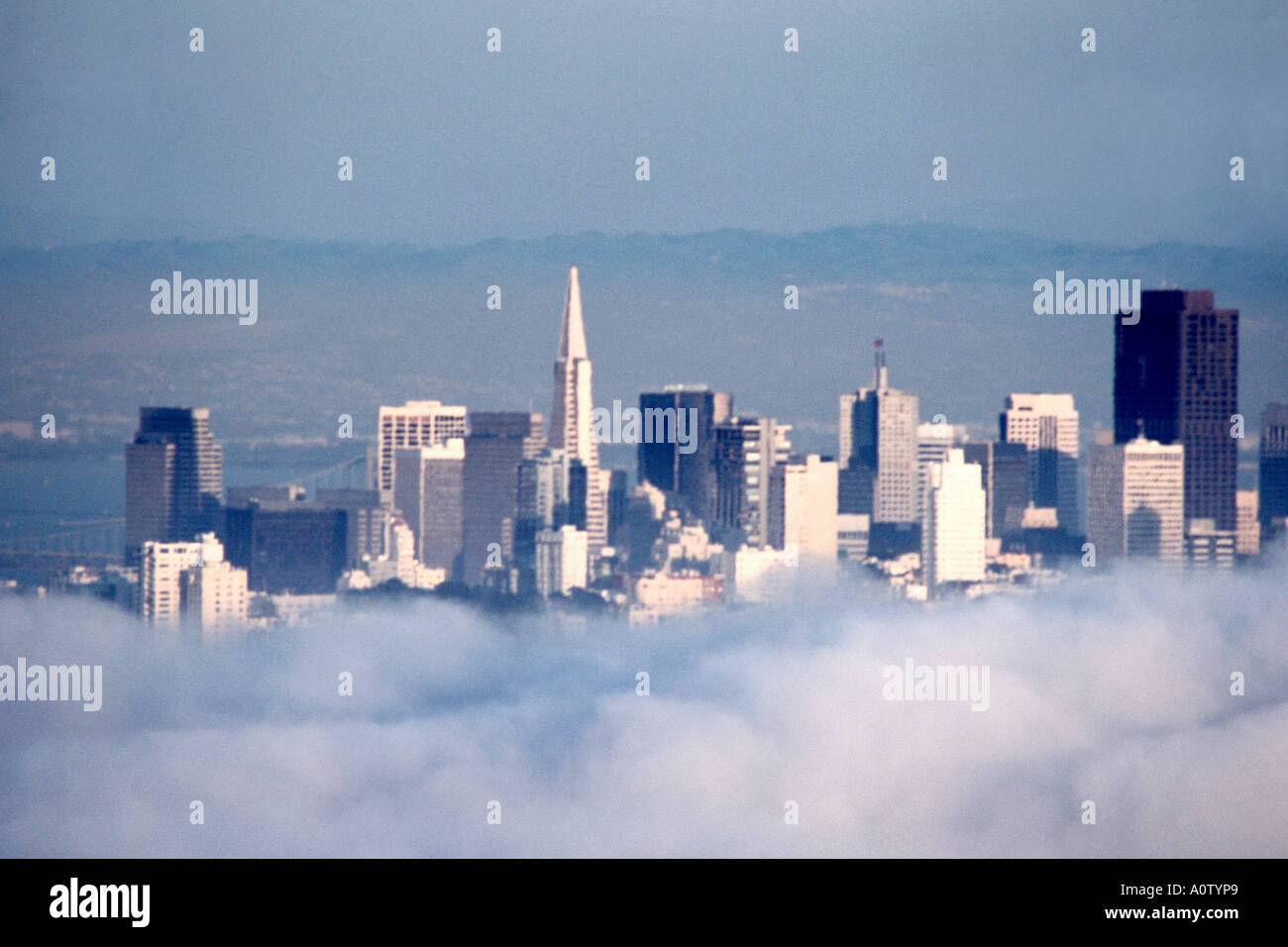 famous san francisco skyline and skyscrapers floating above the