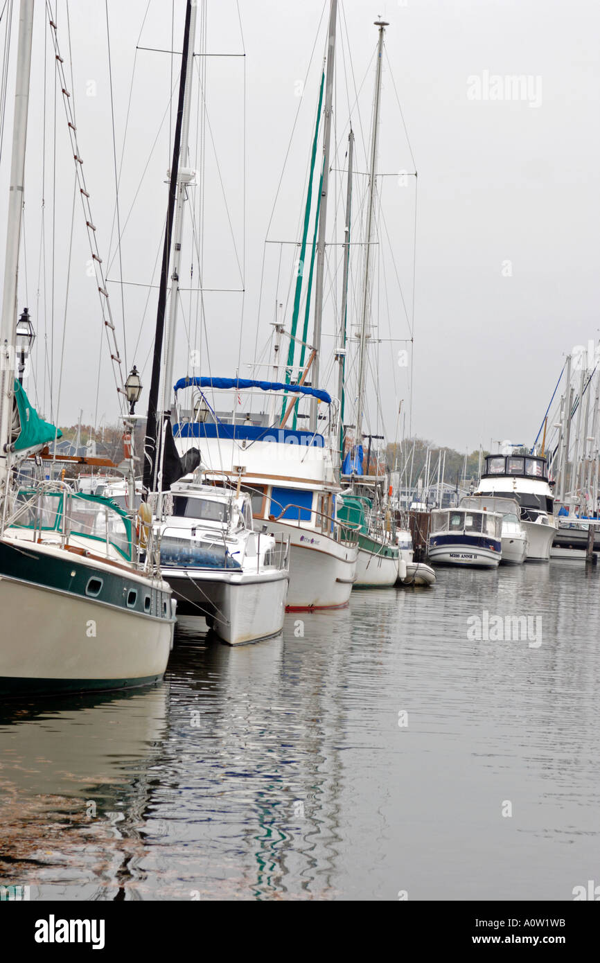 Sailboats moored on the dock in Annapolis, MD Stock Photo Alamy