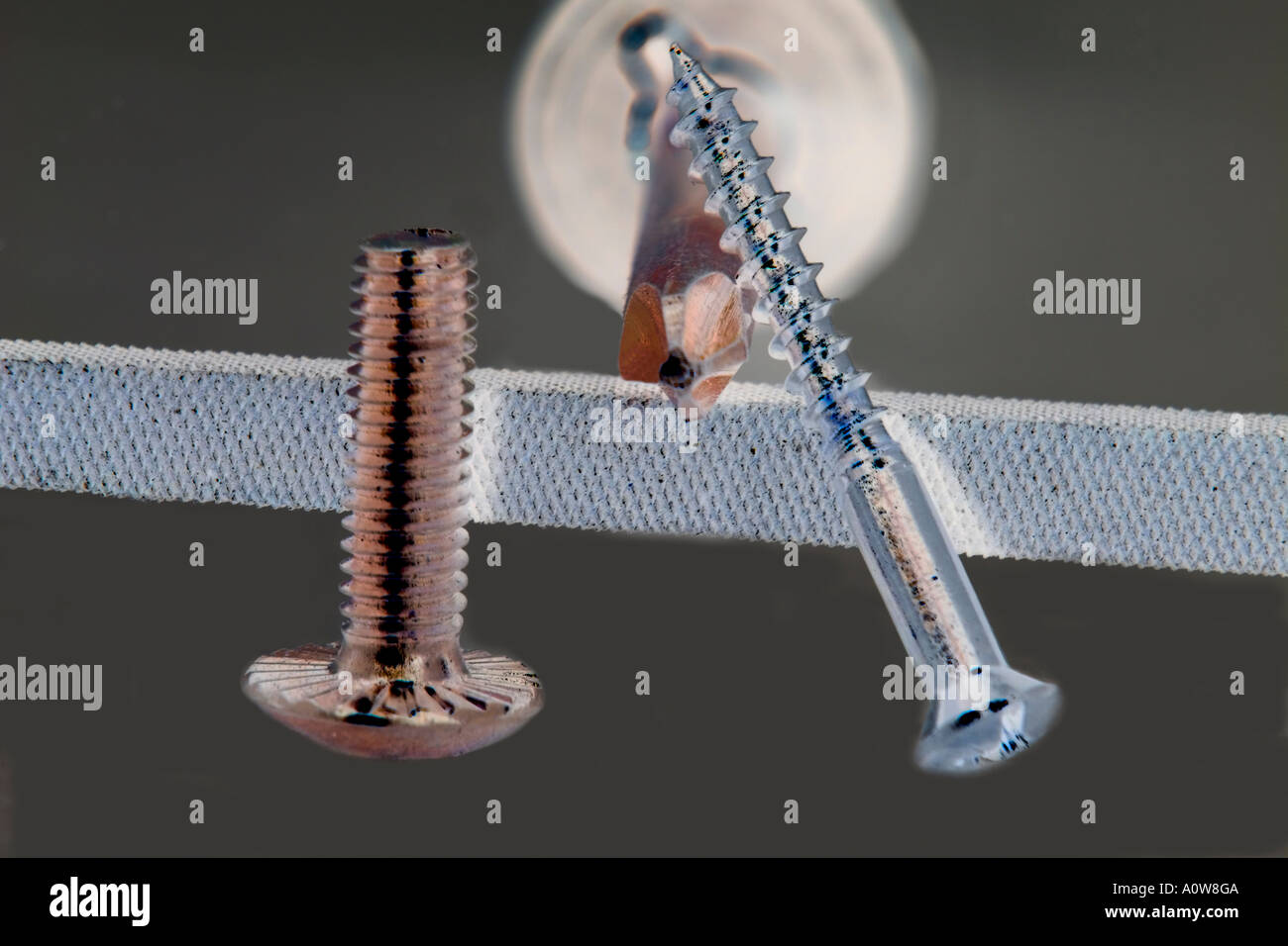Screwdriver File Plus screw driver Cut Out Stock Images & Pictures - Alamy