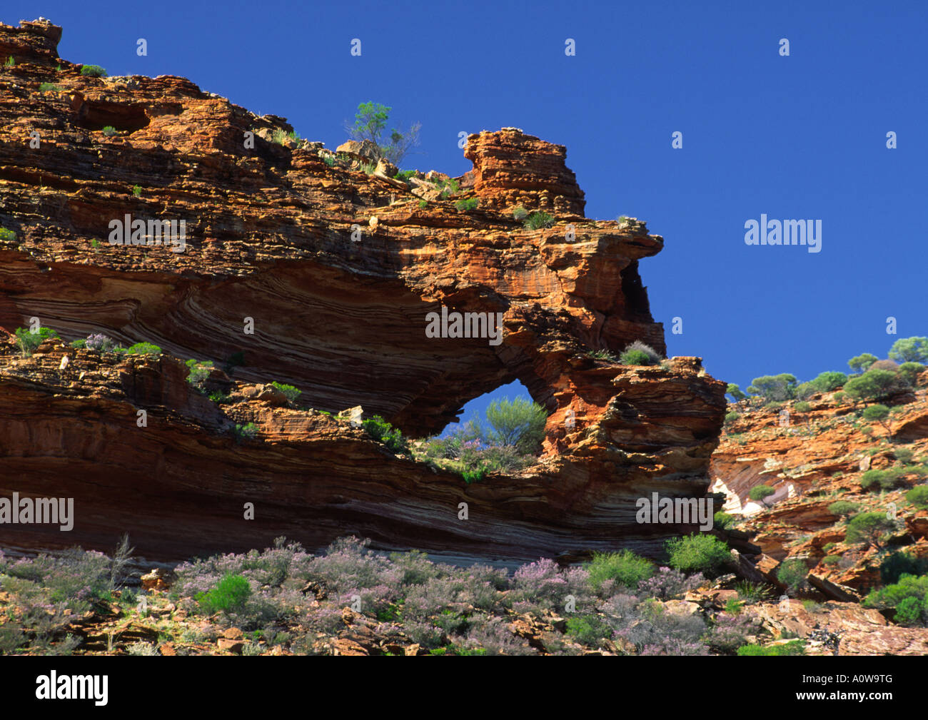 Arch, Kalbarri National Park, Australia Stock Photo