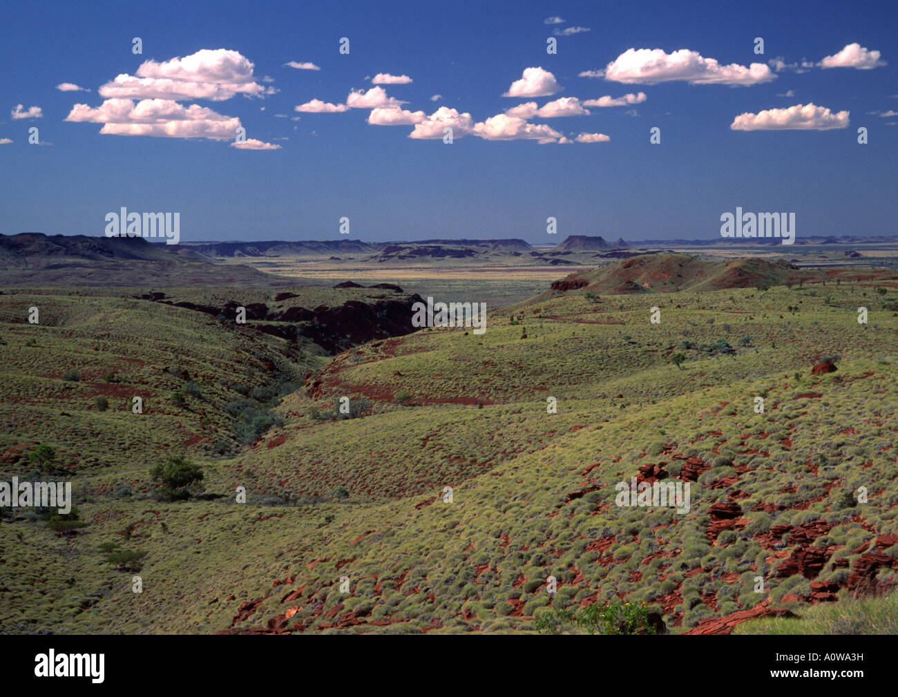 Millstream chichester national park hires stock photography and images