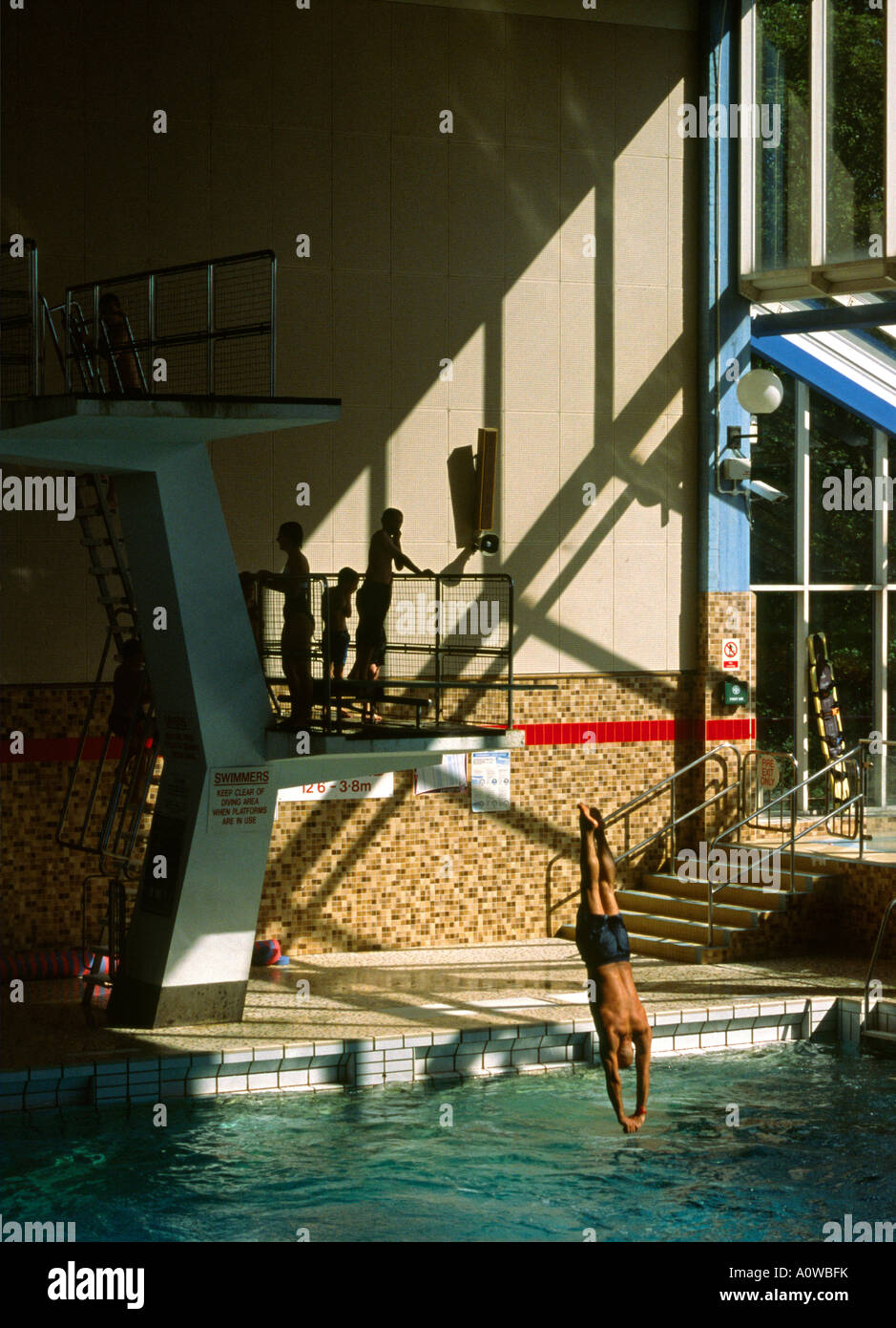 Man diving from a high board into the water of a public swimming pool Stock Photo Alamy