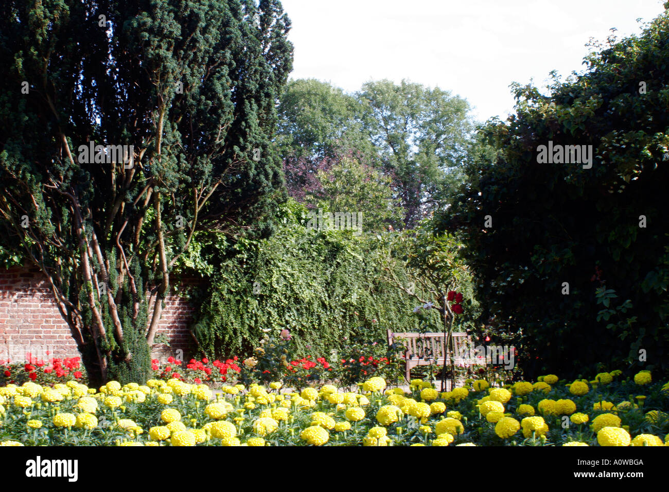 flowers in bloom, Streatham Rookery, London Stock Photo Alamy