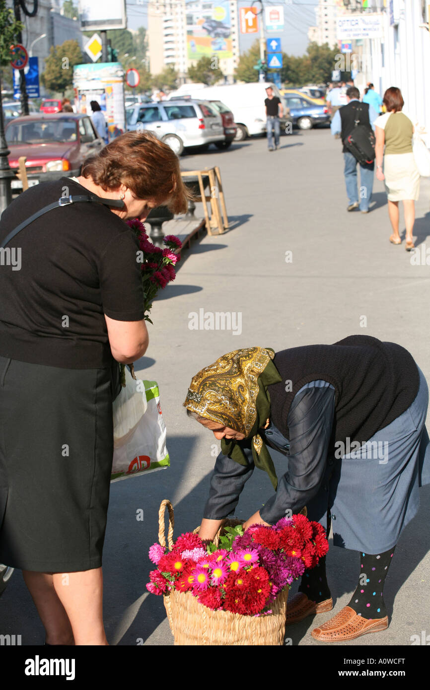 Flower seller Bucharest Romania Stock Photo Alamy